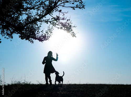 Silhouettes of adorable woman playing running with her cute dog during sunset