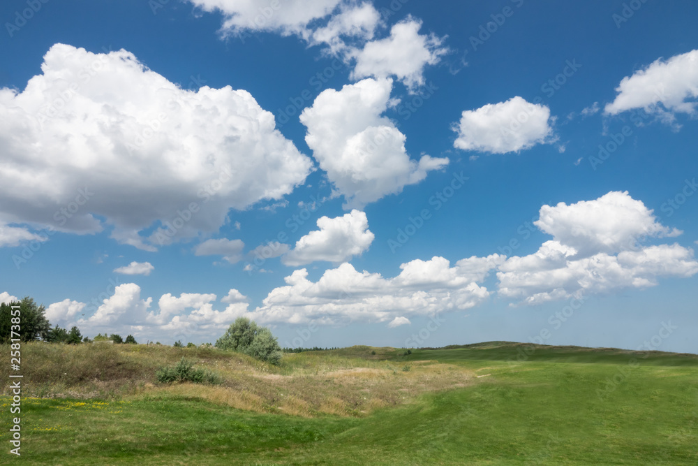 Beautiful landscape. Green grass field and cloudy blue sky