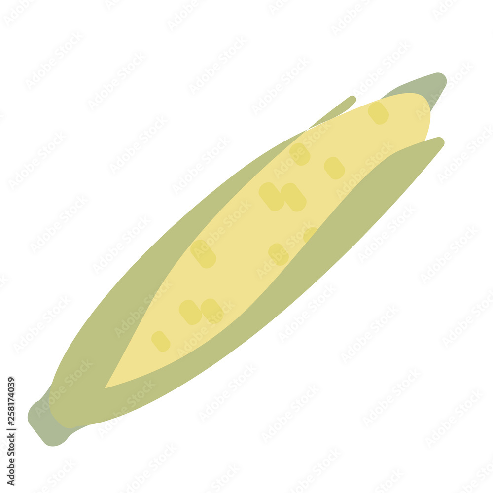 Corn flat illustration on white Corn flat illustration on white