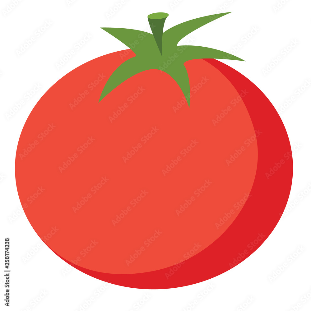 Tomato flat illustration on white Tomato flat illustration on white
