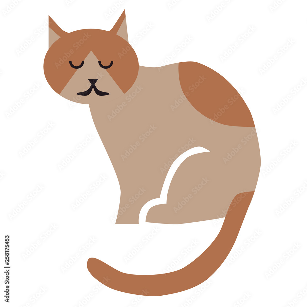 Sitting cat flat illustration on white