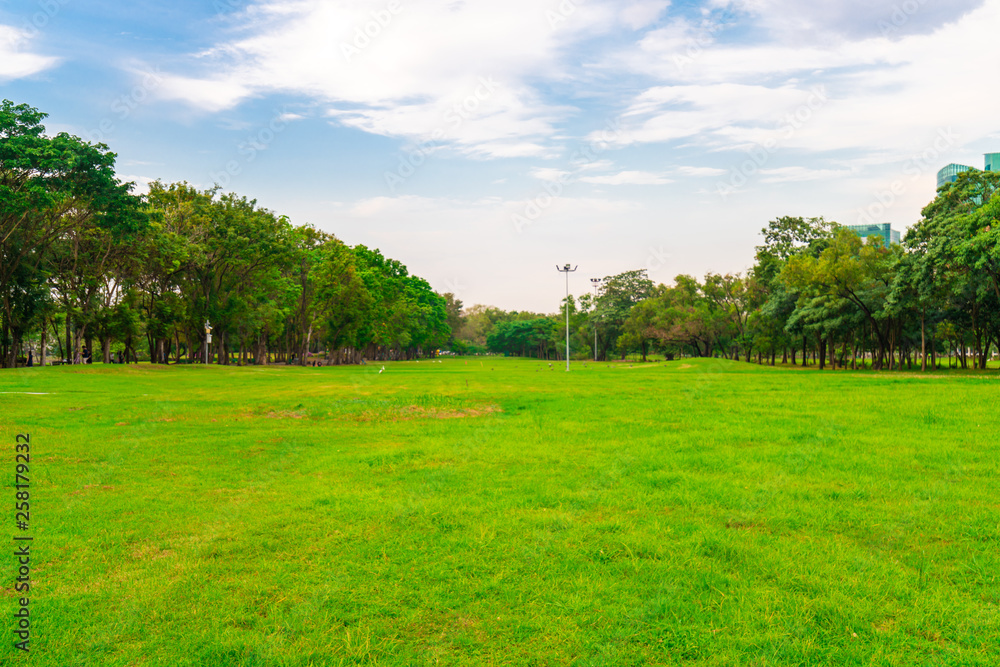 Green field city public park with row of tree and blue sky Green field city public park with row of tree and blue sky
