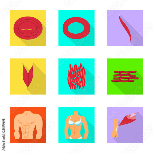 Isolated object of muscle and cells logo. Collection of muscle and anatomy vector icon for stock.