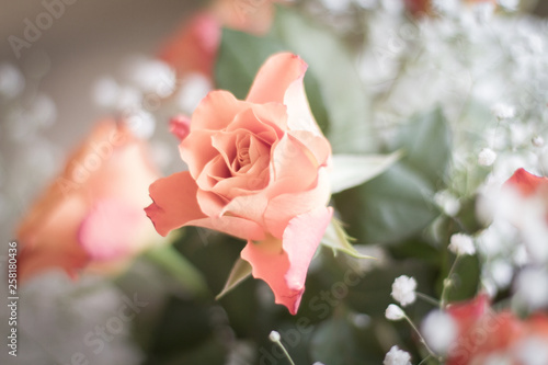 Fototapeta Naklejka Na Ścianę i Meble -  A bouquet of delicate roses.