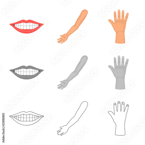 Isolated object of body and part sign. Collection of body and anatomy stock vector illustration.