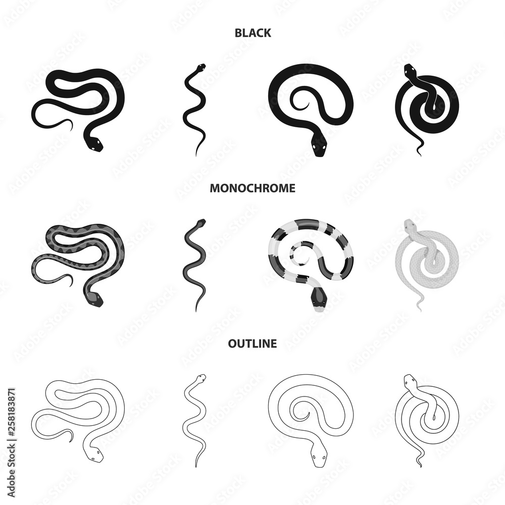Vector design of mammal and danger icon. Collection of mammal and medicine stock symbol for web. Vector design of mammal and danger icon. Collection of mammal and medicine stock symbol for web.