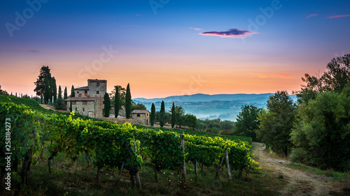 Panorama of Tuscan vineyard covered in fog at the dawn near Castellina in Chianti, Italy