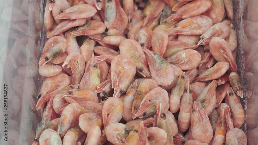 frozen king prawns seafood on the market counter frozen king prawns seafood on the market counter