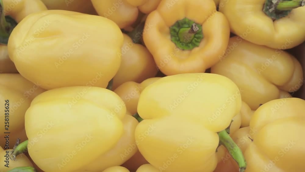 ripe yellow bell pepper close-up on the market counter. Vegetable harvest ripe yellow bell pepper close-up on the market counter. Vegetable harvest
