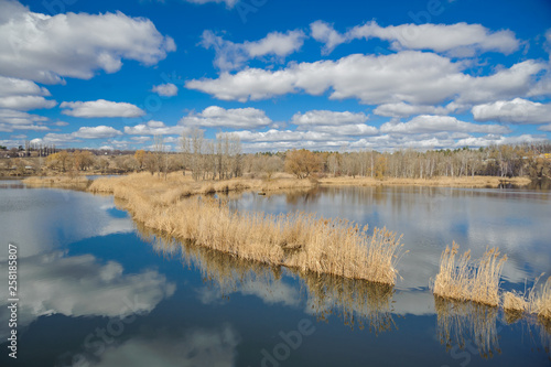 Trees with spring sky and clouds in the reflection of water.