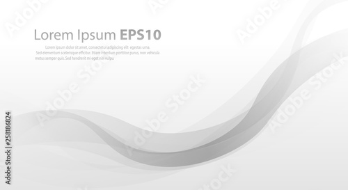 abstract white grey line curve wave background, vector eps10
