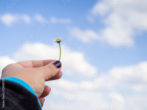 A woman with nails painted purple with one daisy flower in her hand in spring.