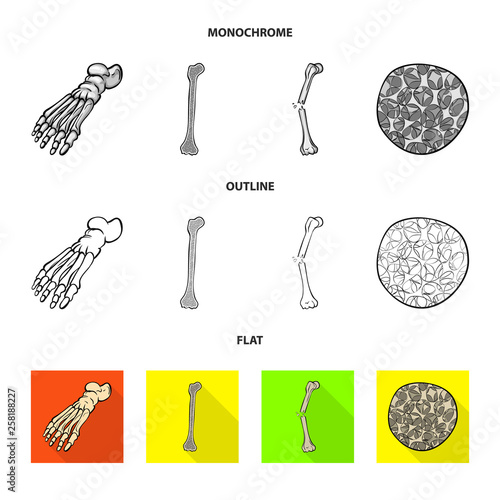 Vector illustration of medicine and clinic icon. Collection of medicine and medical stock vector illustration.