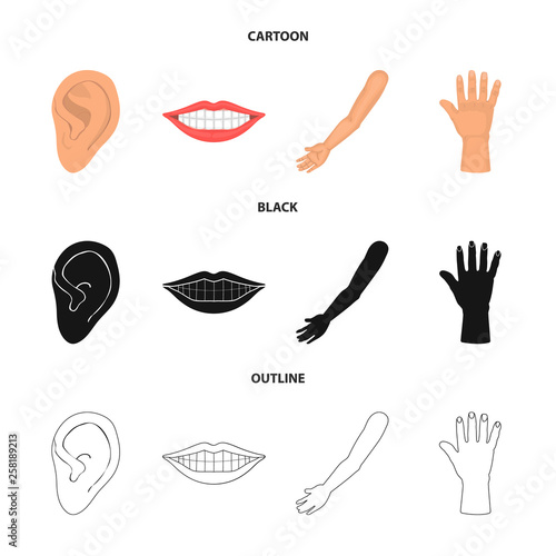 Vector illustration of body and part sign. Set of body and anatomy stock symbol for web.