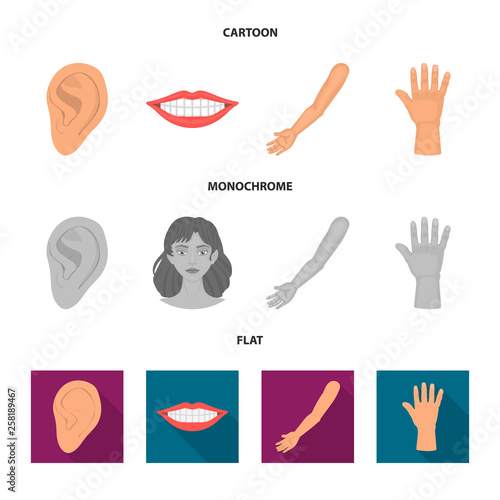 Vector illustration of body and part icon. Collection of body and anatomy stock vector illustration.