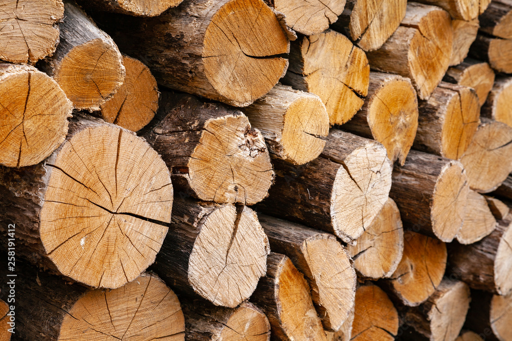 Dry oak firewood stacked in a pile, not chopped whole wood for winter heating fireplace. Natural wood background. Dry oak firewood stacked in a pile, not chopped whole wood for winter heating fireplace. Natural wood background.