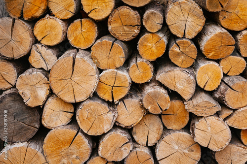 Dry oak firewood stacked in a pile, not chopped whole wood for winter heating fireplace. Natural wood background.