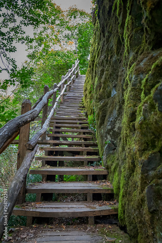 A wooden stair going up to the hill in the forest, Ecopath White River, near Kalofer, Bulgaria.