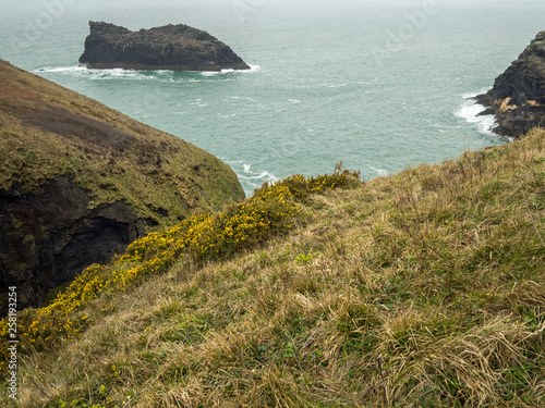 The wild and rugged coast path on the Cornish coast near Boscastle