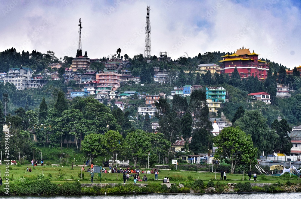 Fototapeta premium Mirik