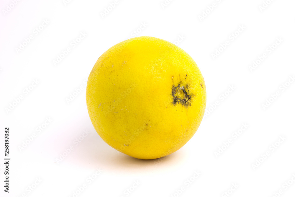 white grapefruit isolated on a white background. white grapefruit isolated on a white background.
