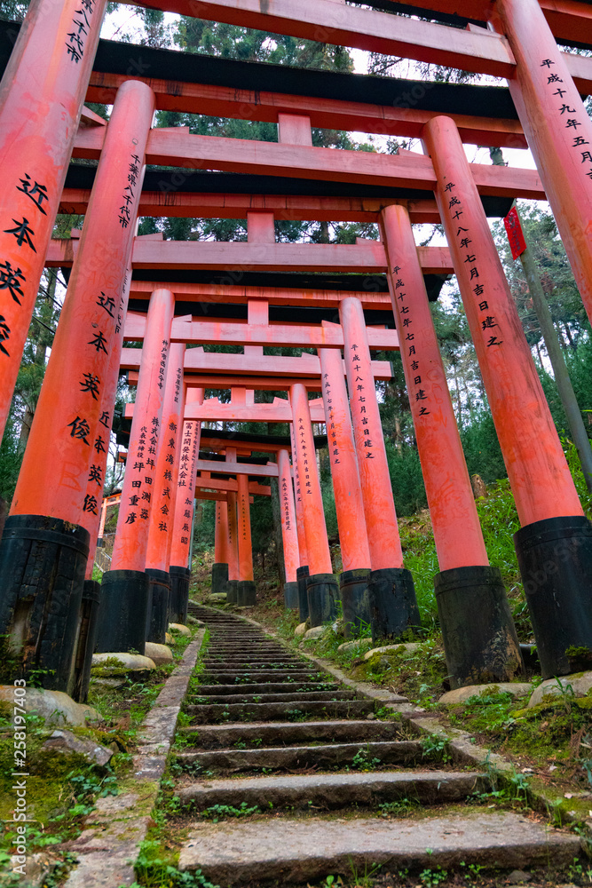Close-Up of Torii Gates on the Inari mountain in the forest. Fushimi Inari Taisha, Kyoto, Japan Close-Up of Torii Gates on the Inari mountain in the forest. Fushimi Inari Taisha, Kyoto, Japan