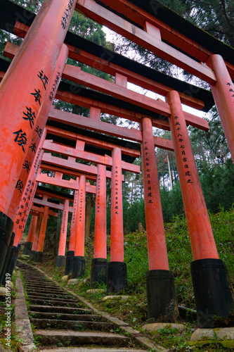 Close-Up of Torii Gates on the Inari mountain in the forest. Fushimi Inari Taisha  Kyoto  Japan