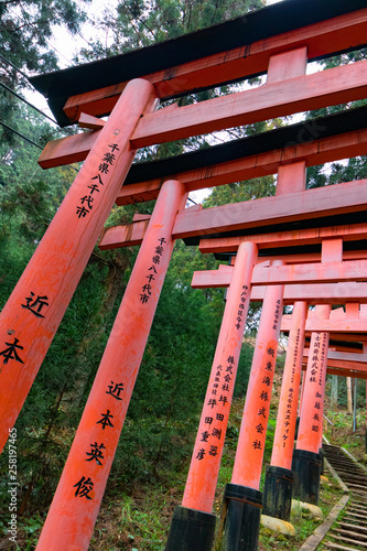 Close-Up of Torii Gates on the Inari mountain in the forest. Fushimi Inari Taisha, Kyoto, Japan