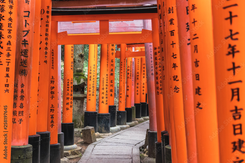 Close-Up of Torii Gates on the Inari mountain in the forest. Fushimi Inari Taisha, Kyoto, Japan Close-Up of Torii Gates on the Inari mountain in the forest. Fushimi Inari Taisha, Kyoto, Japan