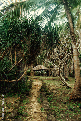 Cobblestone pathway in lush tropical garden