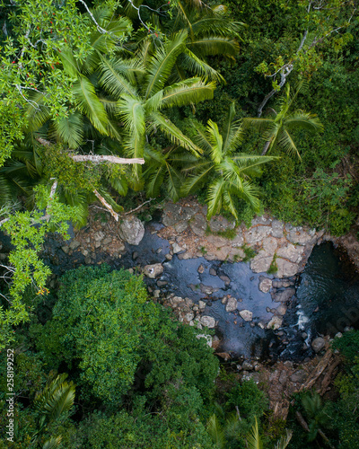 Beautiful aerial scene over a rainforest and small creek. photo