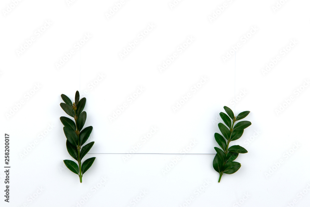 Top view on a sheet of paper and a green twig with leaves. Hero image and copy space