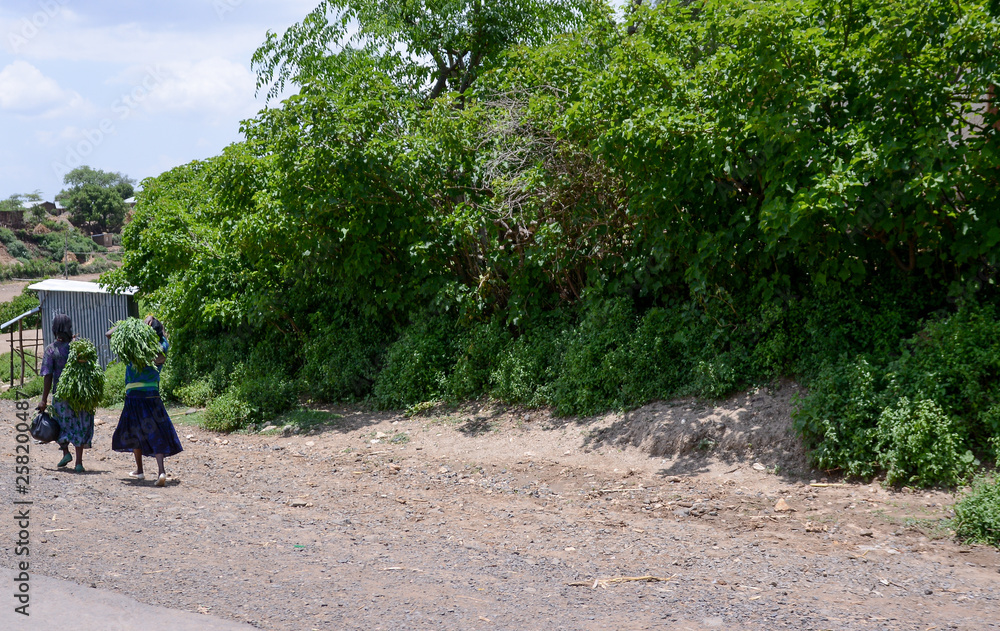 Fototapeta premium Landscape in Danakil