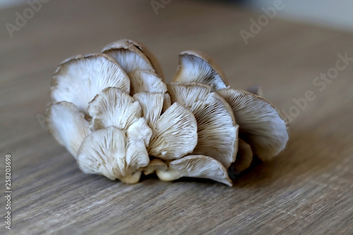 Beautiful oyster mushroom on a wooden table. Selective focus.