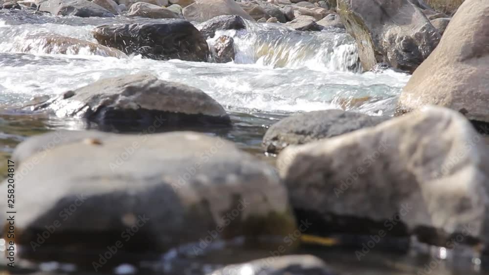 Closeup of a mountain river with rapids and stones. Rough river flow. Closeup of a mountain river with rapids and stones. Rough river flow.