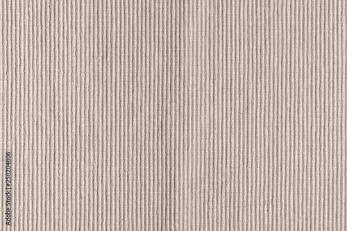 Dense woven ribbed texture. Upholstery fabric close up. Empty light beige background for layouts.