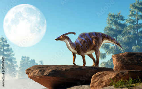 A parasaurolophus  a type of herbivorous ornithopod dinosaur of the hadrosaur family stands on a rock under a full moon that is out in the sky on a cretaceous era afternoon. 3D Rendering. 