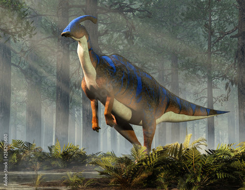 A parasaurolophus, a type of herbivorous ornithopod dinosaur of the hadrosaur family stands on two legs.  This prehistoric animal is standing in a dense forest. 3D Rendering