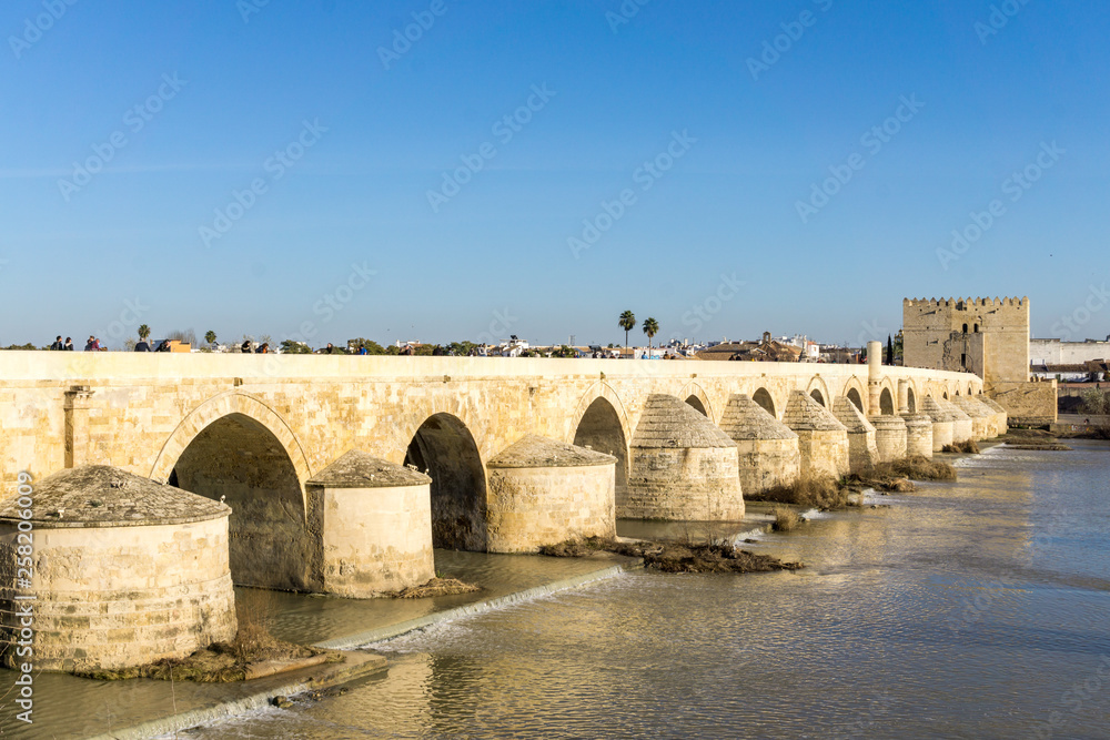 Roman Bridge over Guadalquivir river in Cordoba with the Cathedral - Mosque in background at sunset. World Heritage City by Unesco and one of most visited cities in Andalusia and Spain