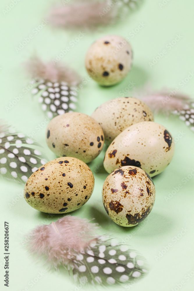 Easter picture with quail eggs and guinea fowl feathers on a green background.