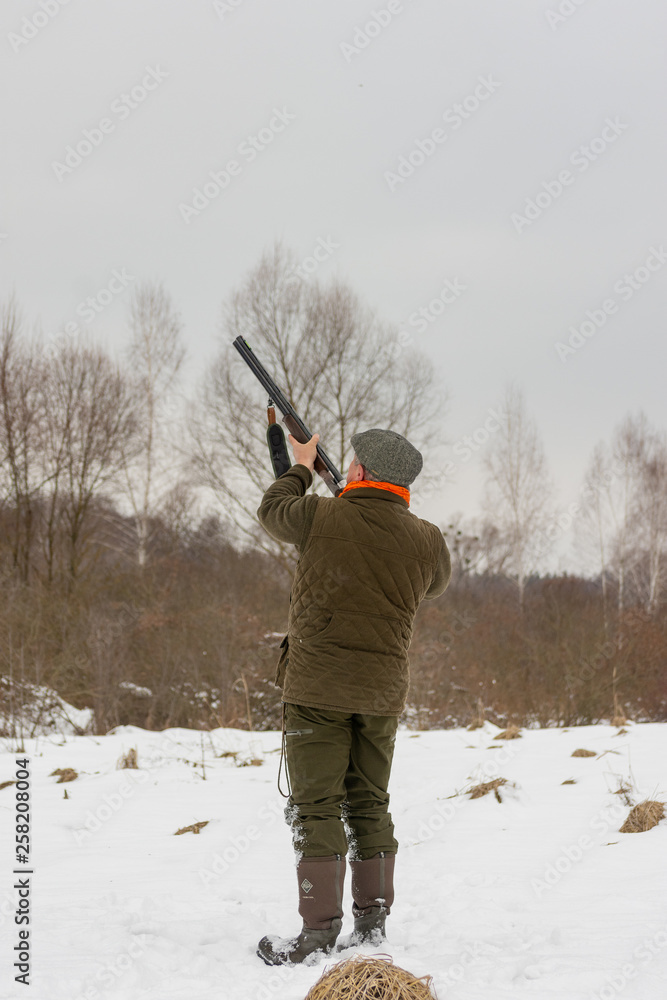 A man is a hunter in a winter forest hunting for game. The hunter shoots a bird in a forest glade. Pheasant hunting in winter.