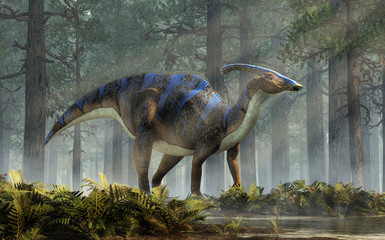 Gardinen Kinderzimmer A parasaurolophus, a type of herbivorous ornithopod dinosaur of the hadrosaur family in profile stands in a forest of fir trees with a floor of ferns with rays of light shining down. 3D Rendering.   © Daniel Eskridge
