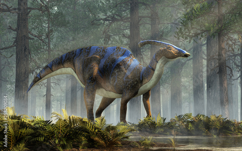 Fotografie, Obraz A parasaurolophus, a type of herbivorous ornithopod dinosaur of the hadrosaur family in profile stands in a forest of fir trees with a floor of ferns with rays of light shining down