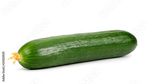 Cucumber On White Background.