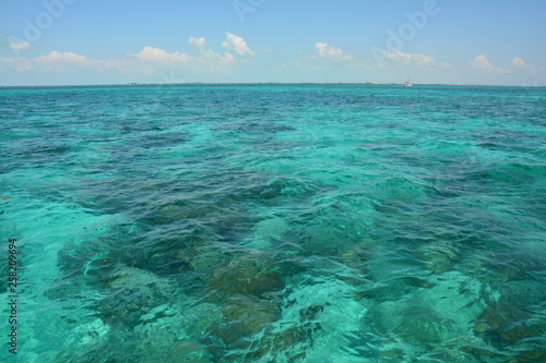 Quadro em tela Barrière de Corail San Pedro Belize