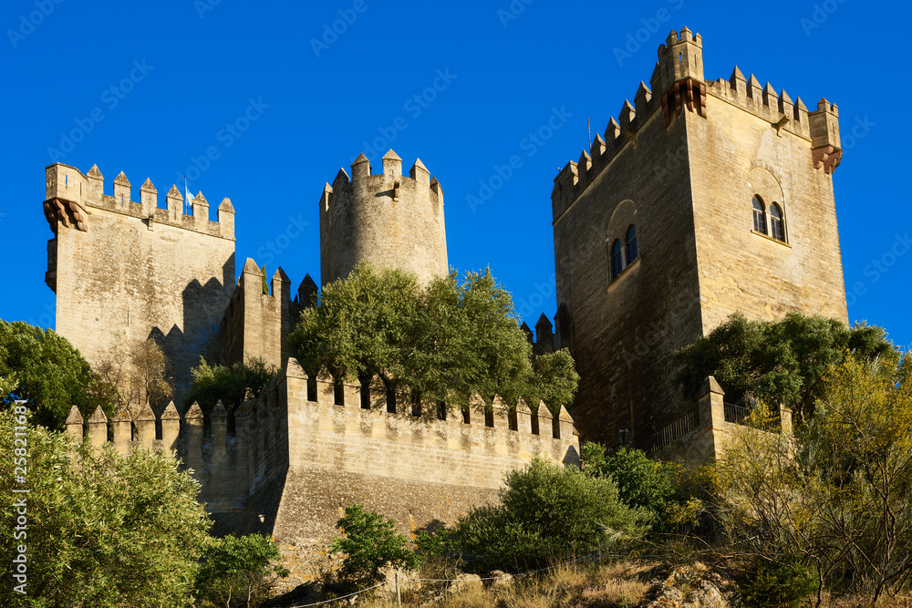 La Floresta, the Castle of Amodovar del Rio, Cordoba, Spain