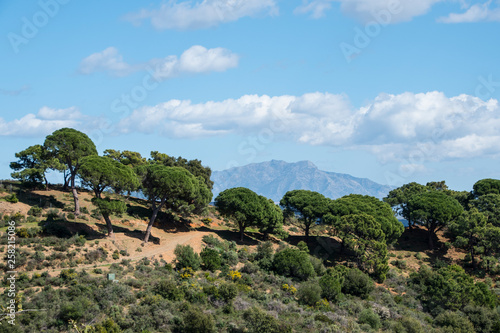 Andalusian mountain scenery with rolling hills olive groves and farms under a blue sky in southern spain