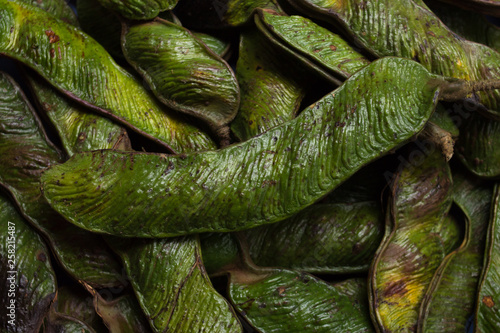 The green pods of the guama. photo