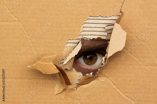 The human eye looks out of a hole in the cardboard, the concept of surveillance, peeping