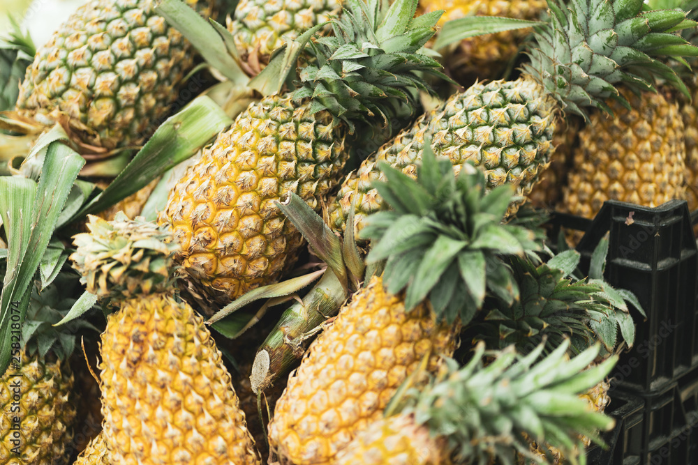 fresh pineapple sell in the super market fresh pineapple sell in the super market